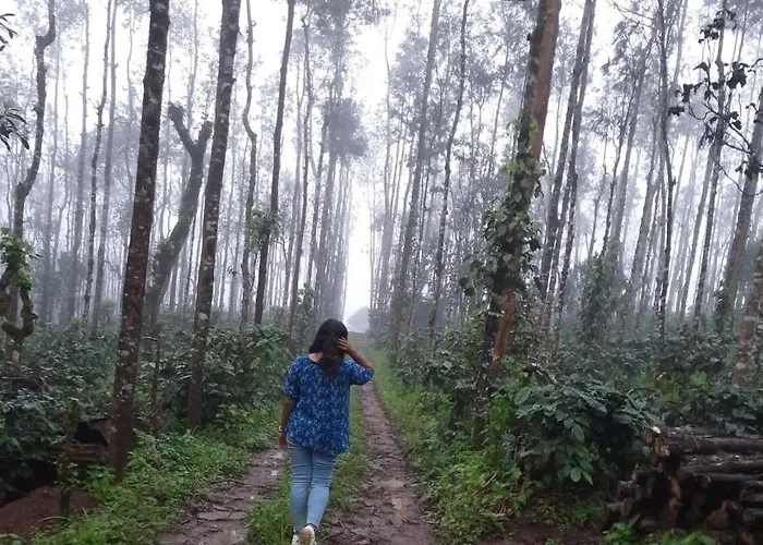 Coorg Happy Estate Stay