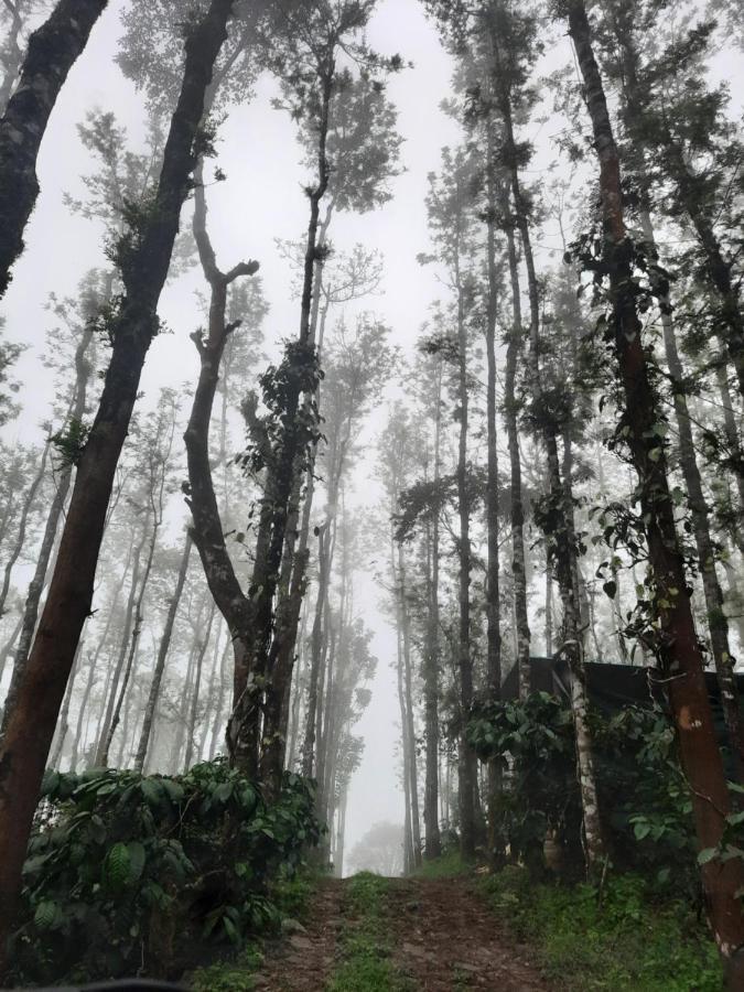 Coorg Happy Estate *